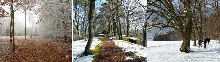 winter running 2.jpg